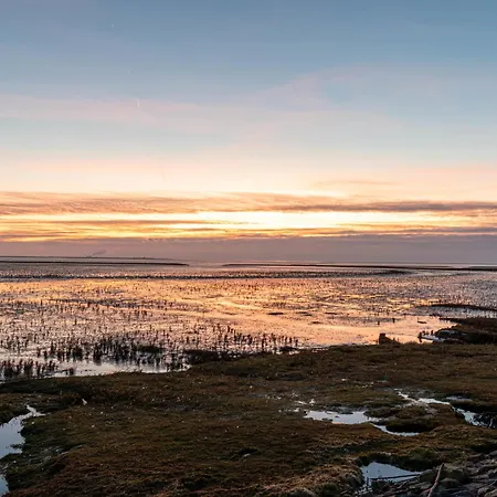 Rollis Kate By Interhome *