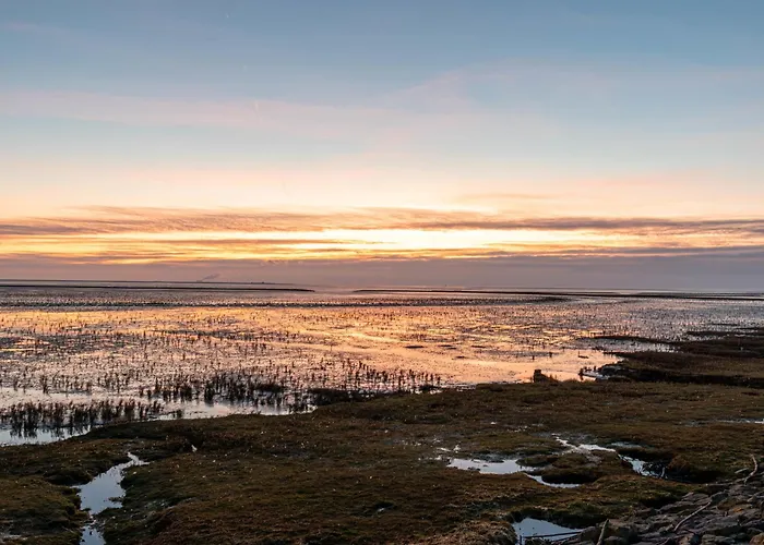 Rollis Kate By Interhome *